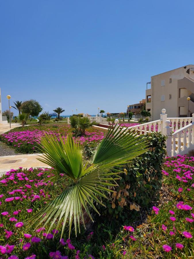 Apartamento Naturista En Primera Linea De Vera Playa!!! Las Bombardas Esterno foto