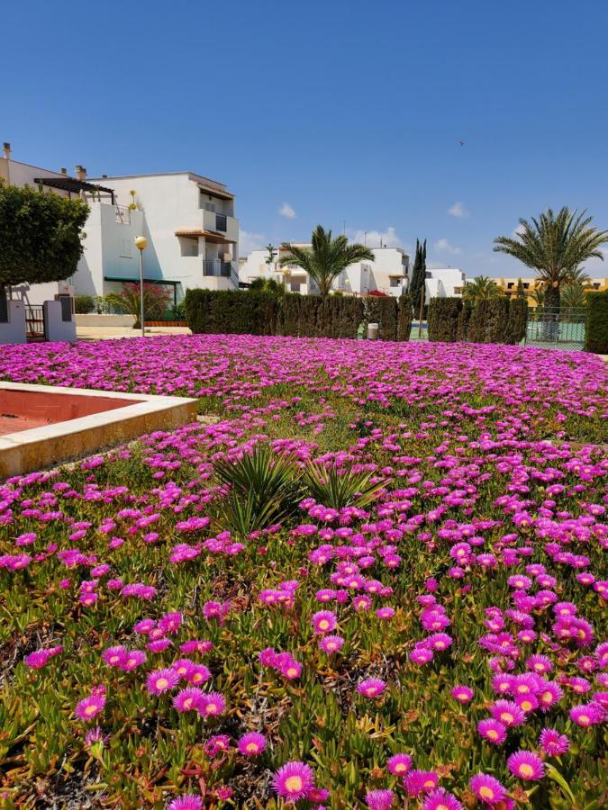 Apartamento Naturista En Primera Linea De Vera Playa!!! Las Bombardas Esterno foto